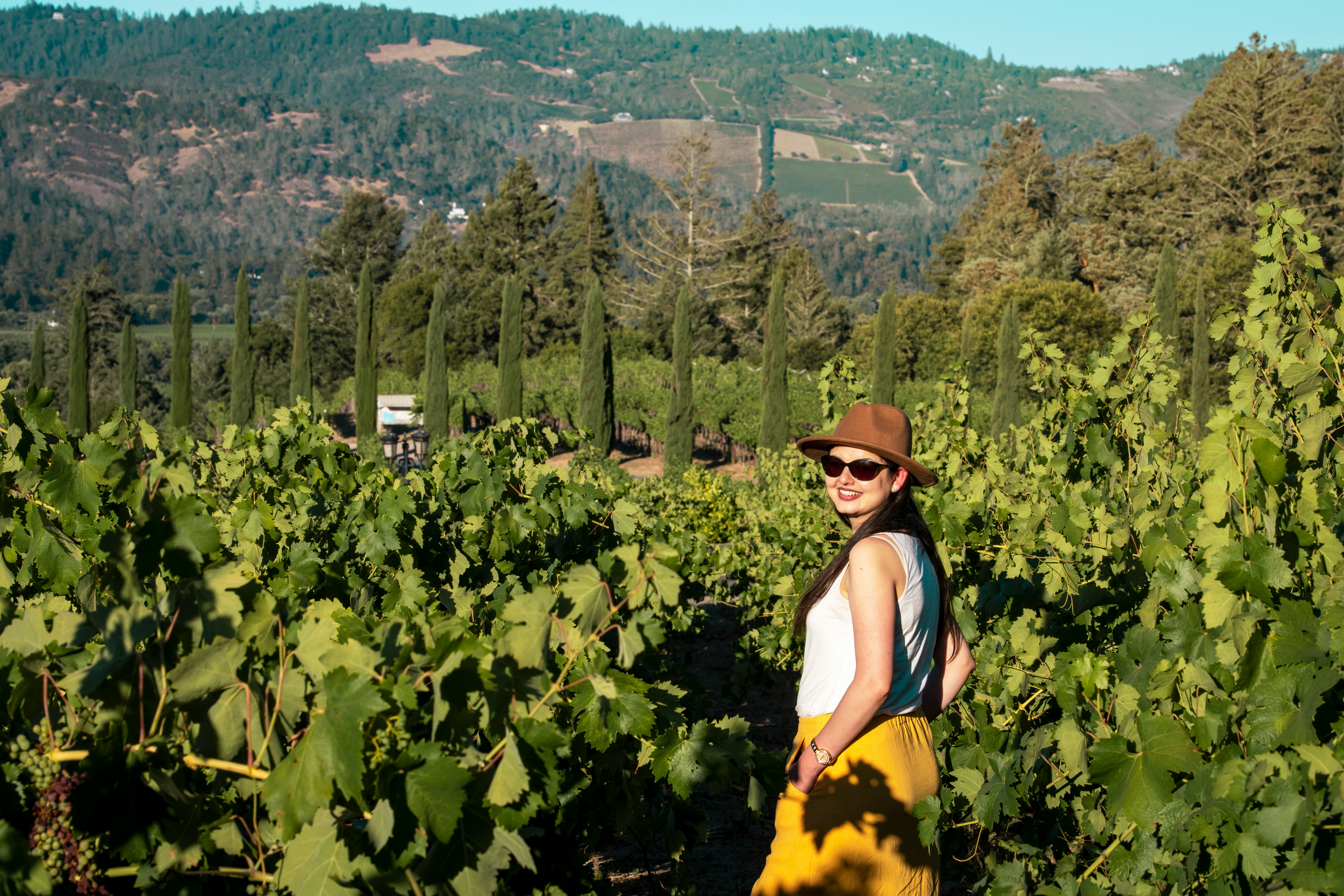 Experience Napa Valley and Wine Tours